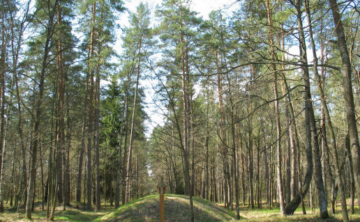 13_Karmazinu pilkapynas.jpg